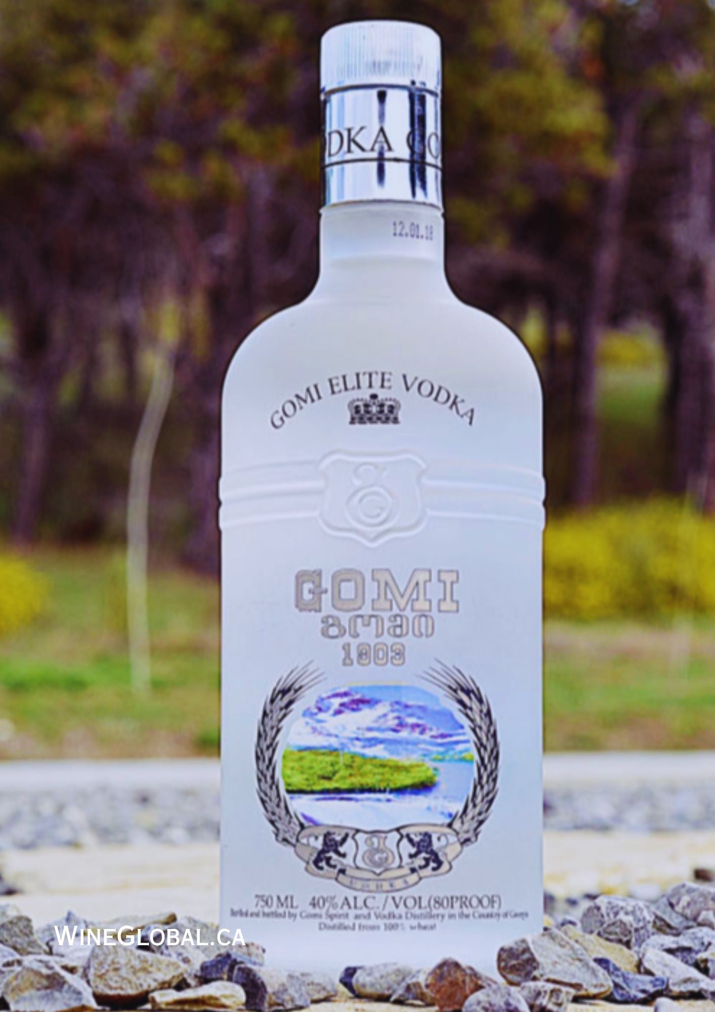 Premium vodka | WineGlobal.ca